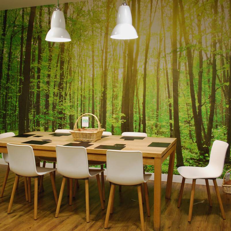12 Bowmark Capital - Biophilia inspired forest wall mural