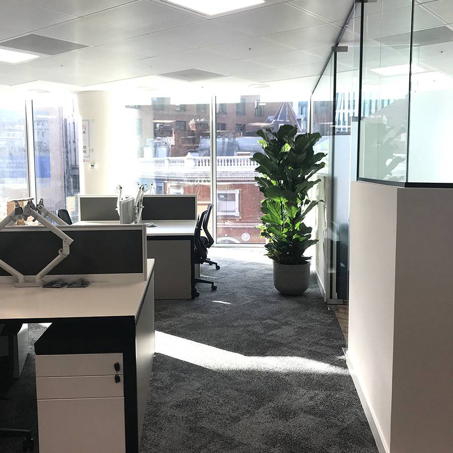15 Augusta Ventures - open plan office with large potted plants