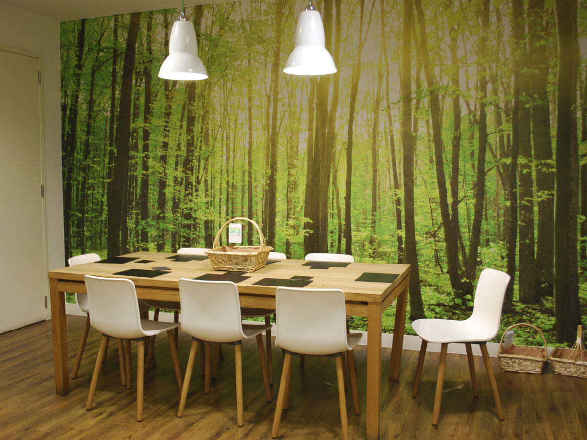 bowmark-index - Biophilia inspired wall mural in office kitchen - design & build