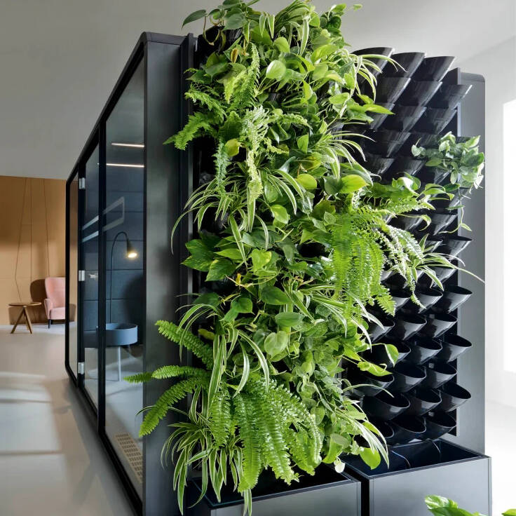 wellness-acoustic-pod with vertical garden