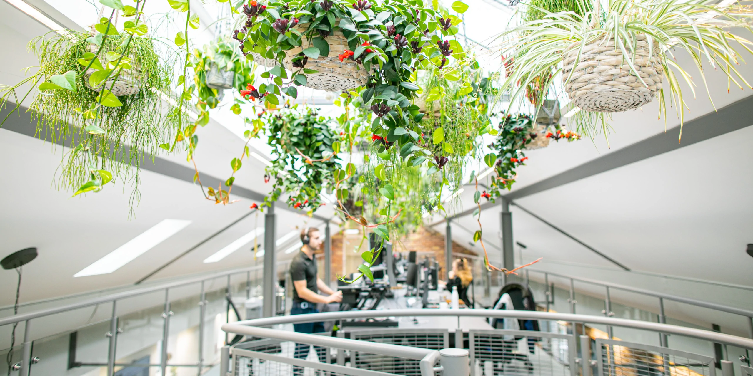 wellness-index- Biophilia in the Workplace