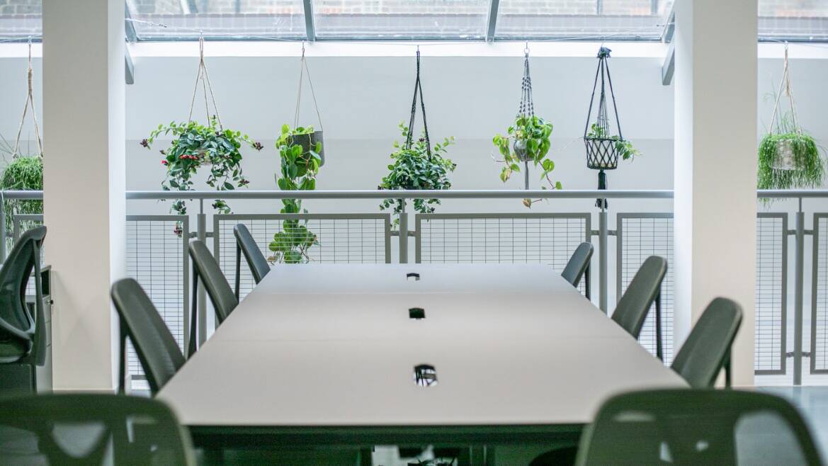 x-why-insights-feature image - Biophilia in the workplace